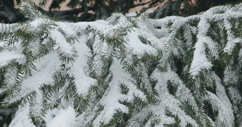 МЧС призвал соблюдать пожарную безопасность в связи с резким похолоданием