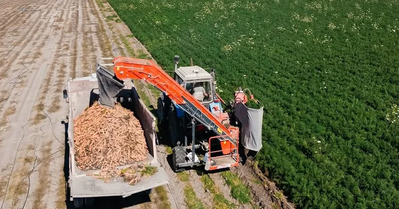 Ауыл шаруашылығы: Атырау облысында өнім көлемі 116,8 млрд теңгеге жетті