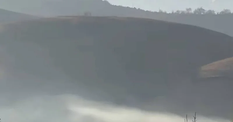 Жительница Алматы создала картину из городского смога