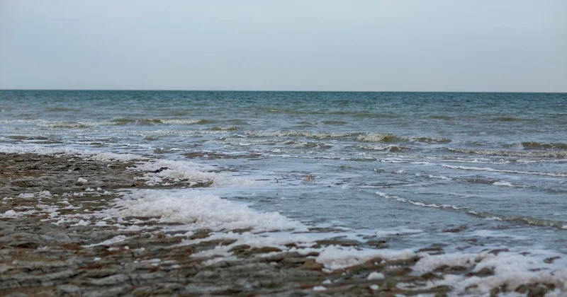 Слухи о повышении уровня воды в Аральском море прокомментировали в Минводы