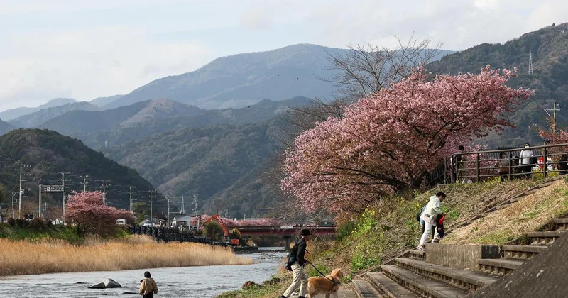 Угрозу цунами объявили в Японии после мощного землетрясения
