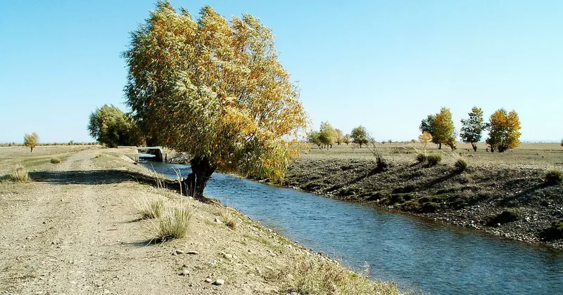 Жамбылда 30 жылдан бері тазартылмаған арықтар механикалық тәсілмен жаңартылып жатыр