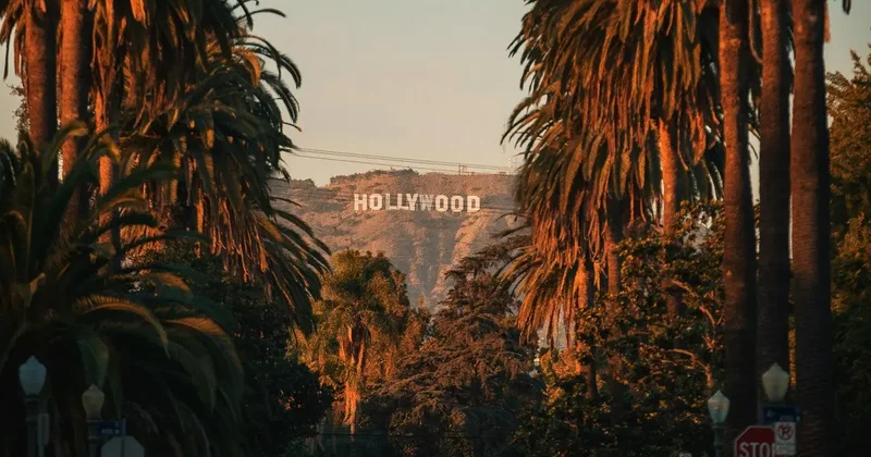 Голливуд готовится к сокращениям из за покупки Warner Bros компанией Netflix