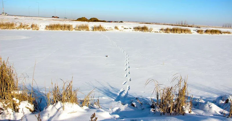В Атырауской области охота обернулась трагедией