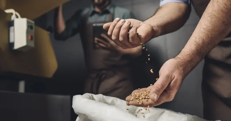 Субсидии делили между отдельными компаниями, а другие заявки откладывали: нарушения выявили в сфере экспорта зерна