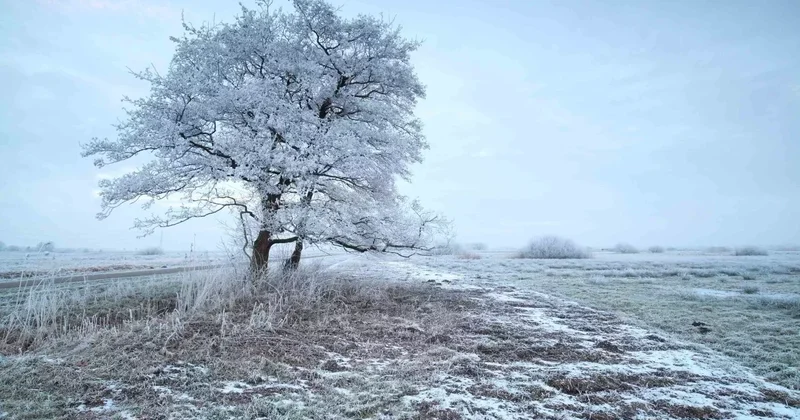 Сильный снег, метель и гололёд: в Казахстане ухудшается погода