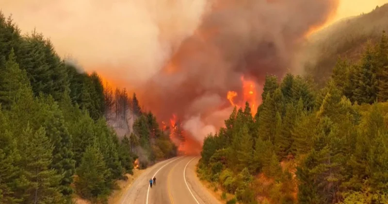Аргентинада ірі орман өрті тіркелді