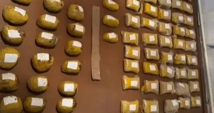 Қырғызстанда халықаралық есірткі арнасының жолы кесілді