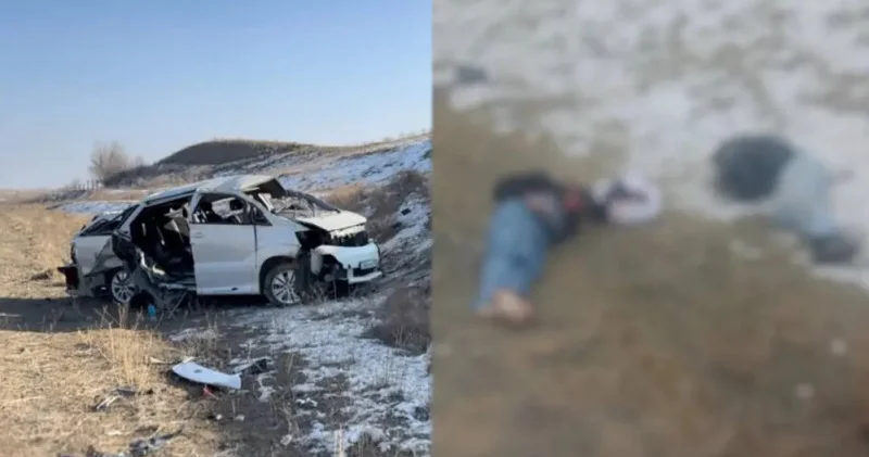 Алматы маңындағы жантүршігерлік жол апаты: жансақтауда жатқан үндістандық студент қаза тапты