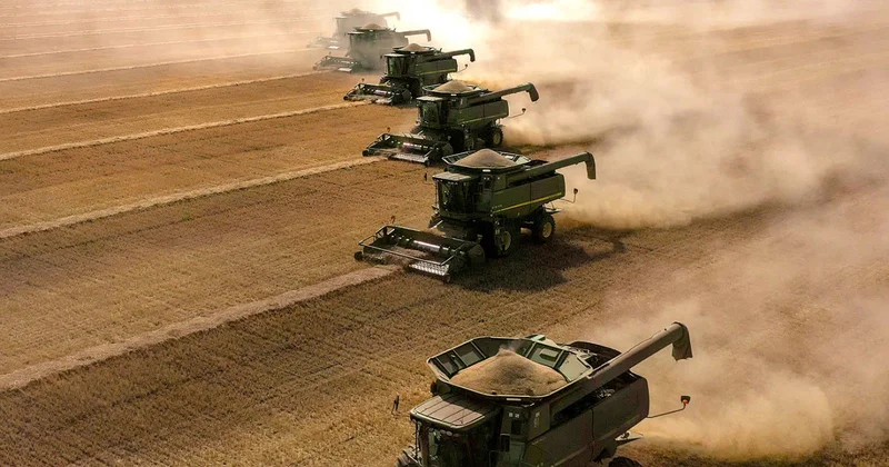 Бітік шыққан егін еселі еңбектің нәтижесі