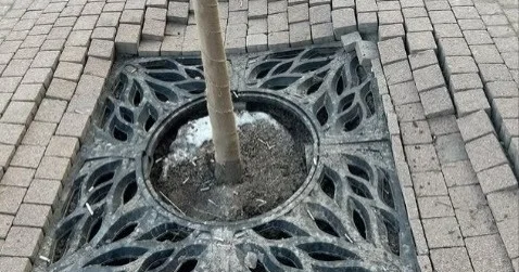 Алматы көшесінде жаңадан салынған тротуар опырылып қалған