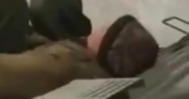 Уснул в парке, а тебя заперли : в Минбороны прокомментировали видео про армию из соцсетей