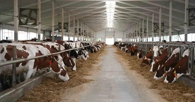 Министрлік Қазақстандағы малдарды тәркілеу және жою туралы қауесеттерге қатысты мәлімдеме жасады