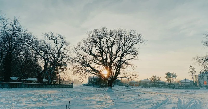 Тела женщины и троих детей нашли в доме в Актобе
