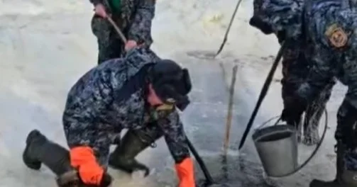 СҚО да құтқару үшін суы таяз көлден балықтар Есілге жіберілді