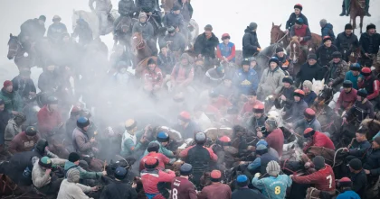 Массовая гибель лошадей произошла во время аламан улака в Ошской области