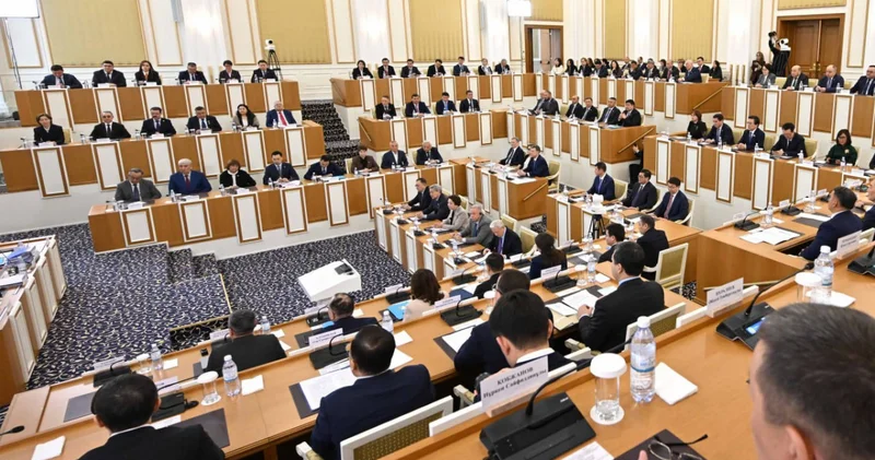 Қарлығаш Байшоланова: Жаңа Конституция жобасының жаңалығы цифрлық трансформацияны конституциялық деңгейде мойындау