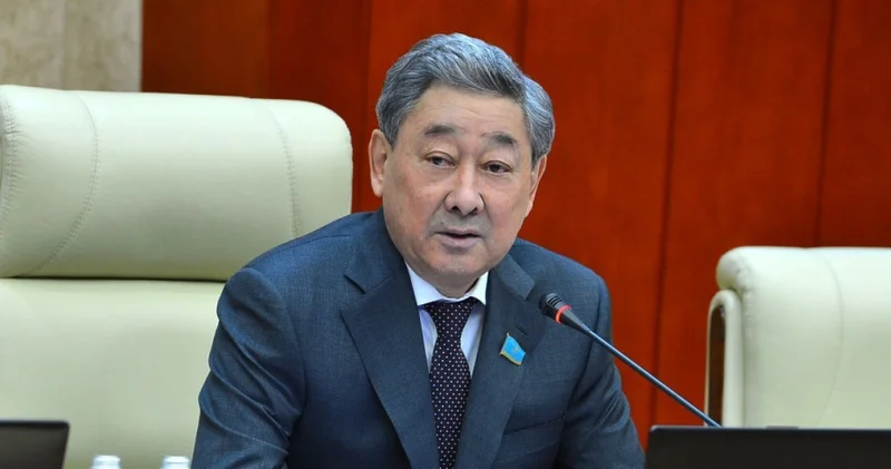 Жаңа Конституция жобасына аға буын үшін маңызды нормалар енді Бақтығожа Ізмұхамбетов