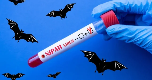 Бангладеште нипах вирусын жұқтырған әйел көз жұмды