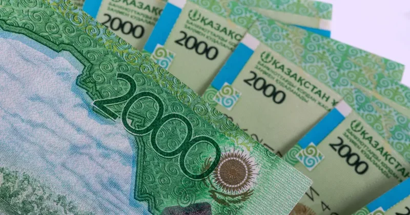 Атаулы әлеуметтік көмекті кімдер және қалай алады: Еңбек министрлігінің түсіндірмесі