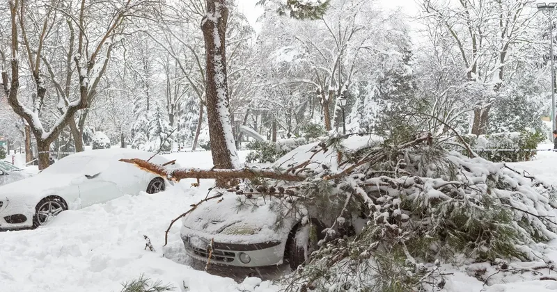 Повреждённые крыши и отключение света: последствия урагана устраняют в Конаеве