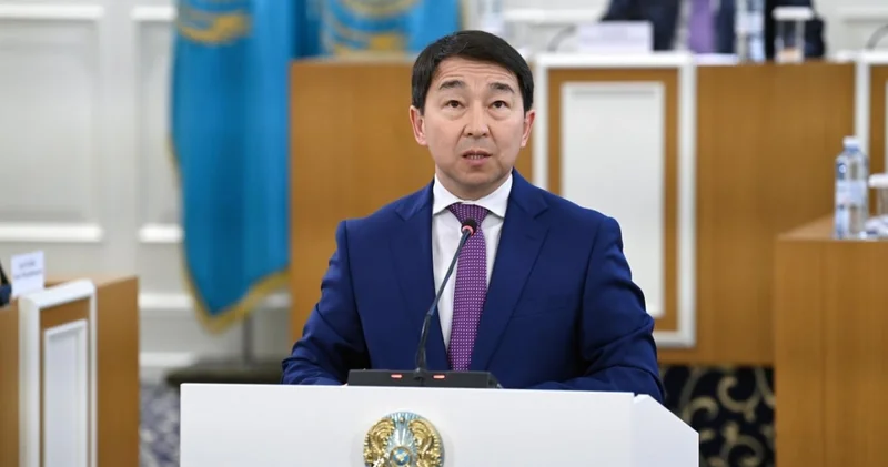 Конституциялық комиссия жаңа Ата Заңда волонтерлік қызмет мәртебесін бекітуді қолдады