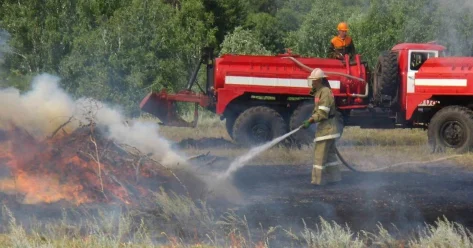Права сотрудников лесного хозяйства нарушали в СКО