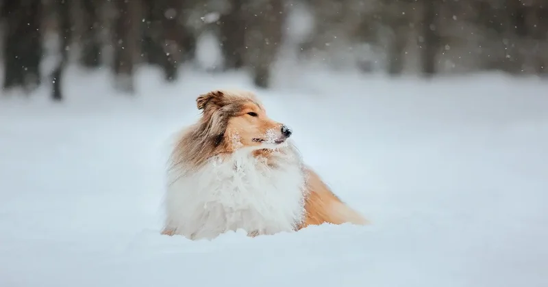 30 градусные морозы ожидаются в нескольких регионах Казахстана