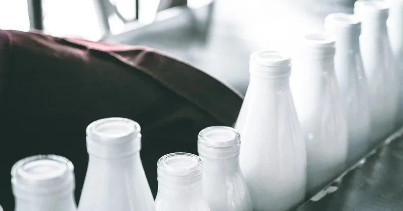 В Кыргызстане разгорелся спор из за поставок молока в Казахстан