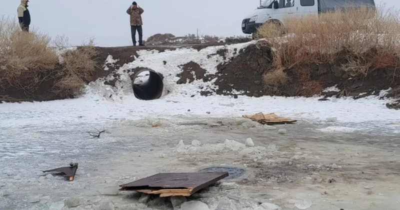 Атыраудағы арналардың бірінде балық шабақтарына қауіп төнді