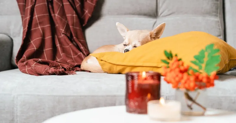 Где в Алматы будут отключать свет в ближайшие дни