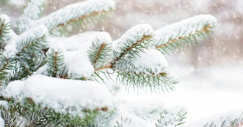 Морозы до 30 градусов и метели прогнозируют в Казахстане в ближайшие дни