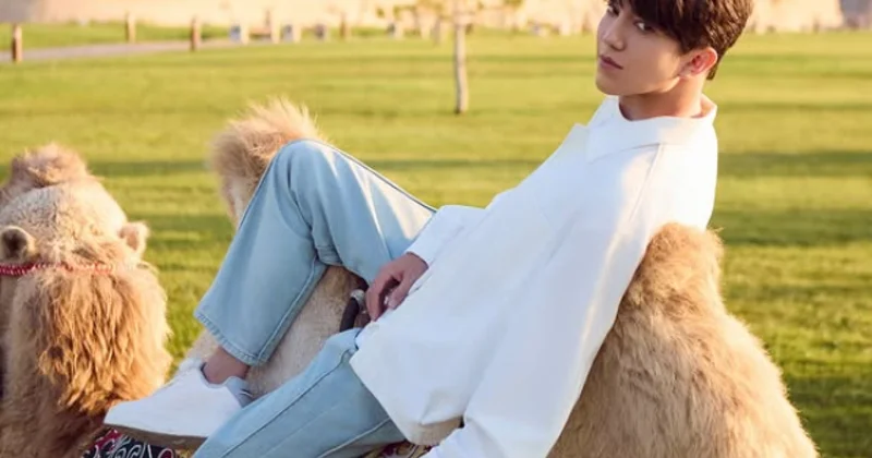 Фанаты Димаша Кудайбергена бурно отреагировали на поздравление певца