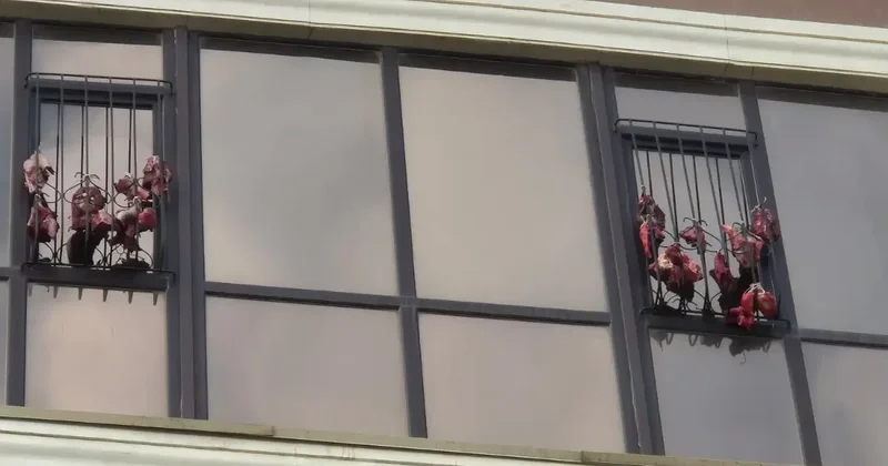 Мясо развесили на решетках окон элитного ЖК в Актау