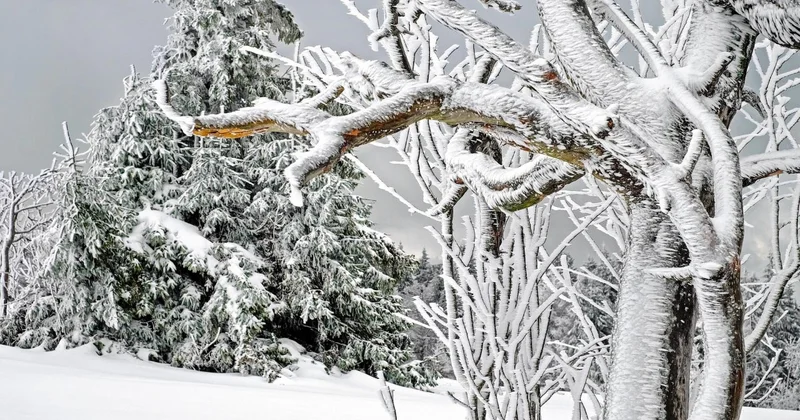 В Казахстане ожидаются дождь, снег и гололед