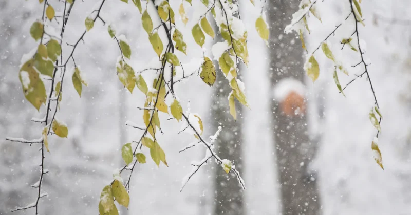 Где и какую погоду ожидают синоптики на территории Казахстана 10 марта