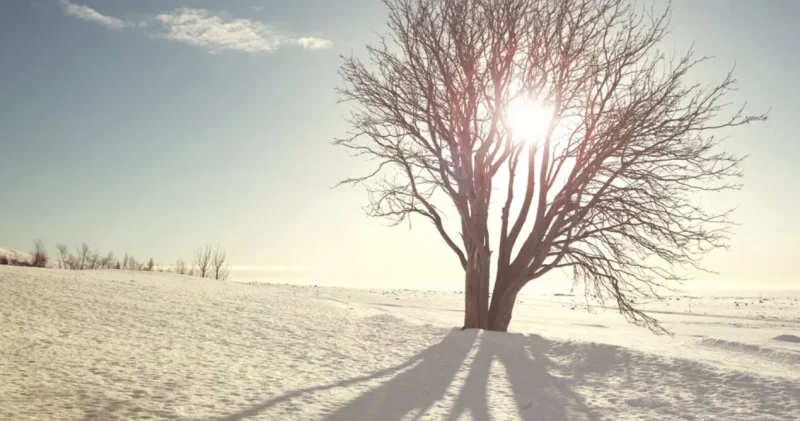 Қазақстанда күн күрт суытып, аяз 30 градусқа дейін жетеді