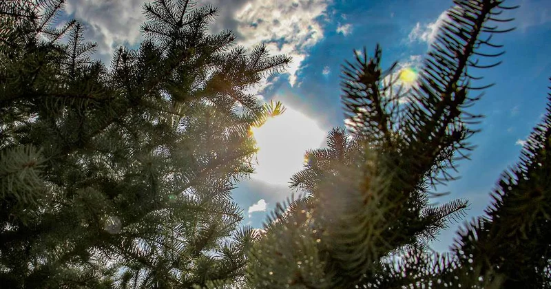 О погоде в Казахстане на 10 12 марта сообщили синоптики