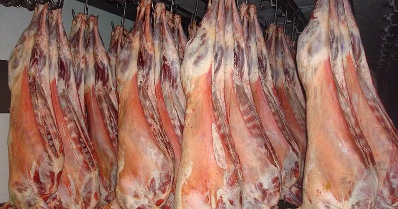 Қой етінің бағасы қымбаттады