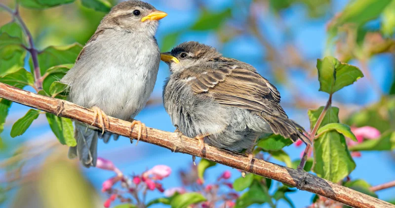 Астана мен Алматыда күн қашан жылынады синоптиктер болжамы