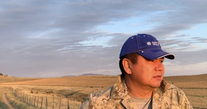 Пастбищная ловушка: как выносливость заменяет продуктивность