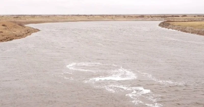 Созақ ауданына қоршаған ортаны сақтау үшін 1 млрд текше метрге жуық су жіберілді