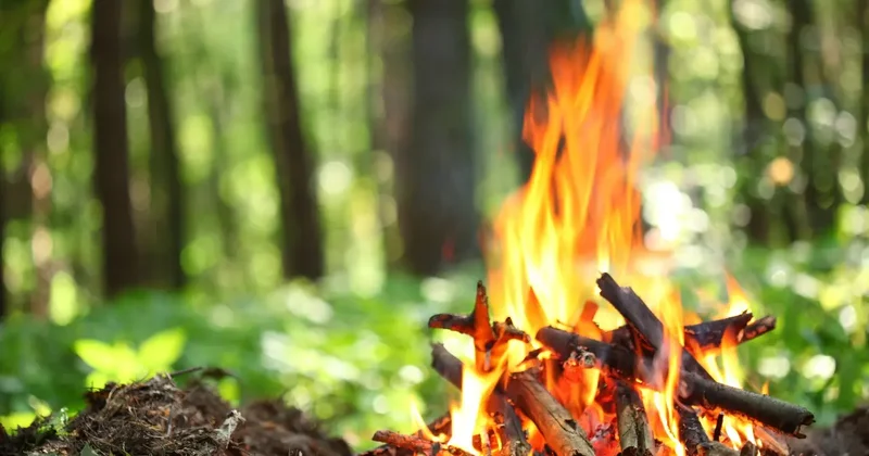 Астана, Каркаралинск, Баянаул, Катон Карагай: систему раннего выявления пожаров масштабируют в Казахстане