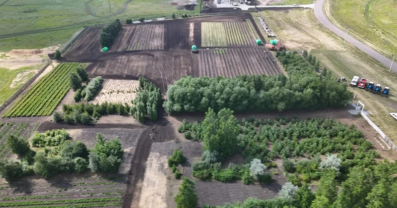 СҚО да уақытша 50 ге жуық орман тәлімбағы ашылды