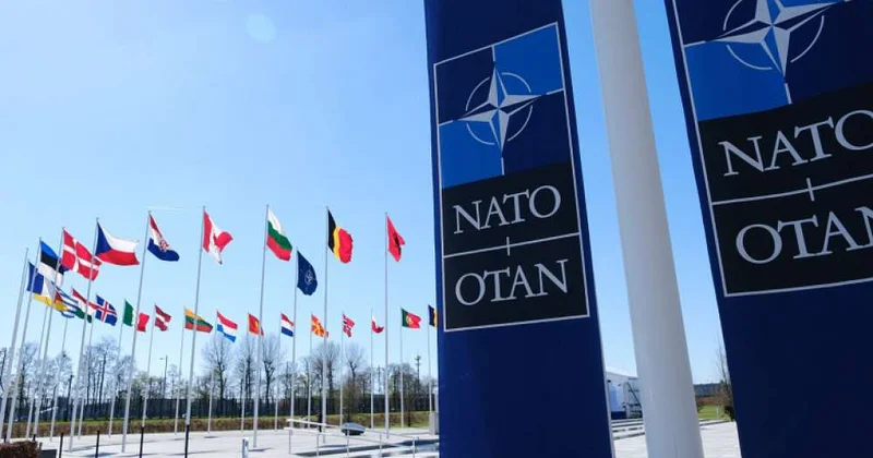 США рассматривают план наказания стран НАТО за позицию по Ирану