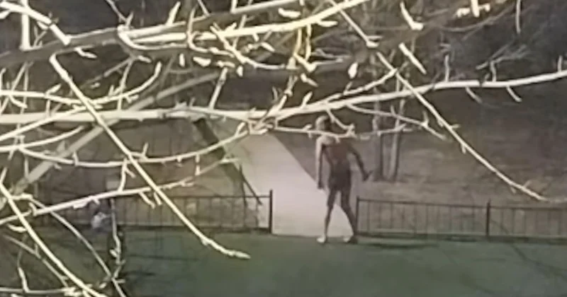 Астана көшесінде жартылай жалаңаш жүрген ер адамның қолында пышақ болды