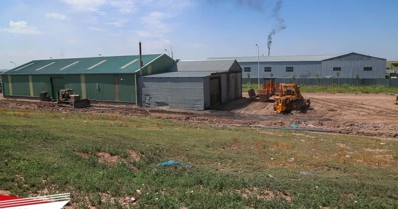 В Костанае раскрыли аферу с субсидиями и несуществующим скотом на 3 млрд