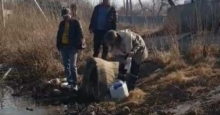 СҚО да үш су айдынында балық қырылды