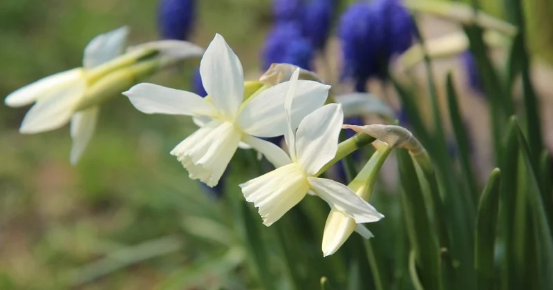 Переменная облачность и контраст температур ожидаются Шымкенте