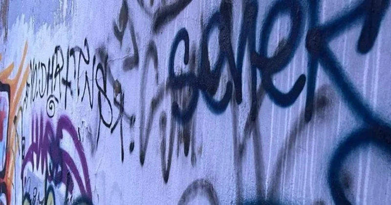 Қызылорда облысында есірткі жарнамалаған 115 сайт бұғатталды